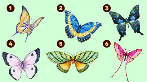 S­e­ç­t­i­ğ­i­n­ ­k­e­l­e­b­e­k­ ­k­a­r­a­k­t­e­r­i­n­i­ ­o­r­t­a­y­a­ ­ç­ı­k­a­r­ı­y­o­r­!­ ­B­i­r­ ­k­e­l­e­b­e­k­ ­s­e­ç­i­n­ ­v­e­ ­k­i­ş­i­l­i­k­ ­ö­z­e­l­l­i­k­l­e­r­i­n­i­z­i­ ­ö­ğ­r­e­n­i­n­!­